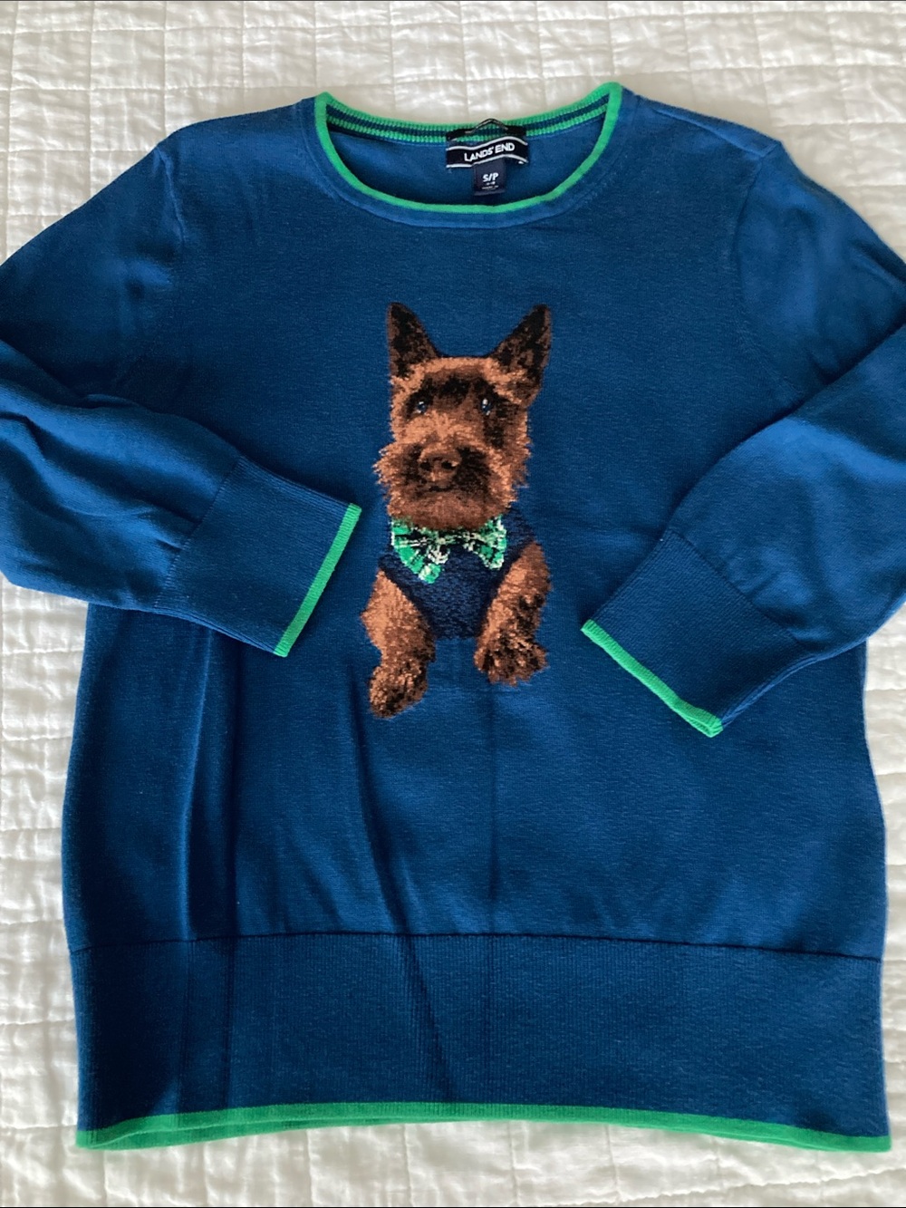 Lands' End Teal Sweater with Green Trim and Dog Motif